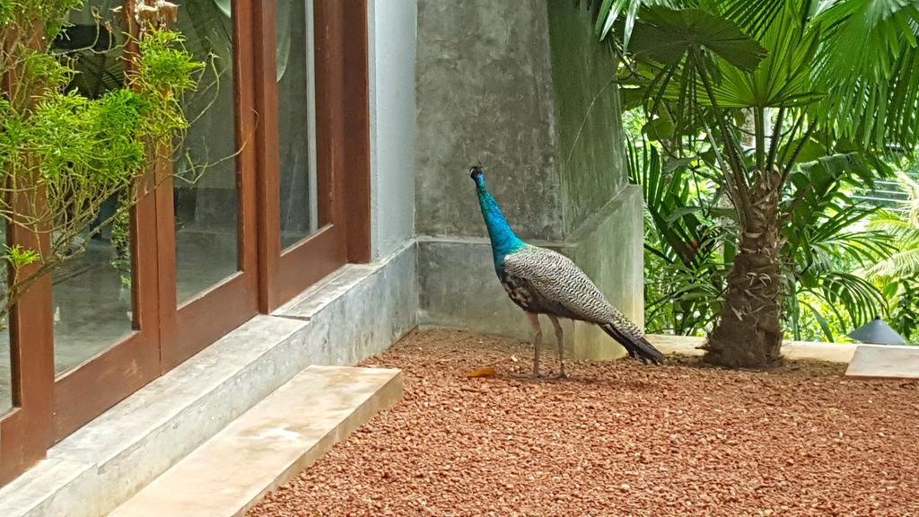 Highland Villa Weligama Buitenkant foto